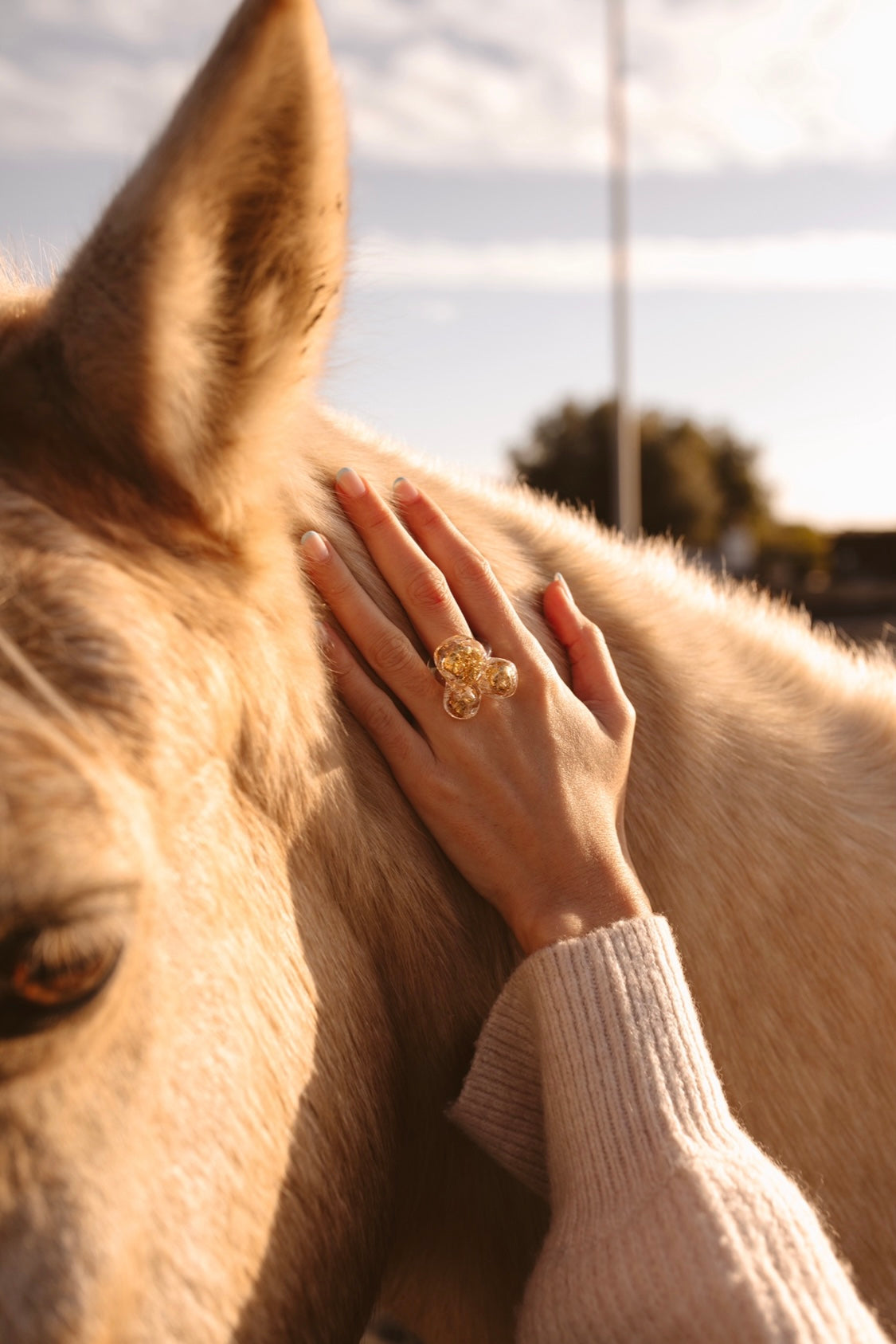Anillo Béatrice 1.0