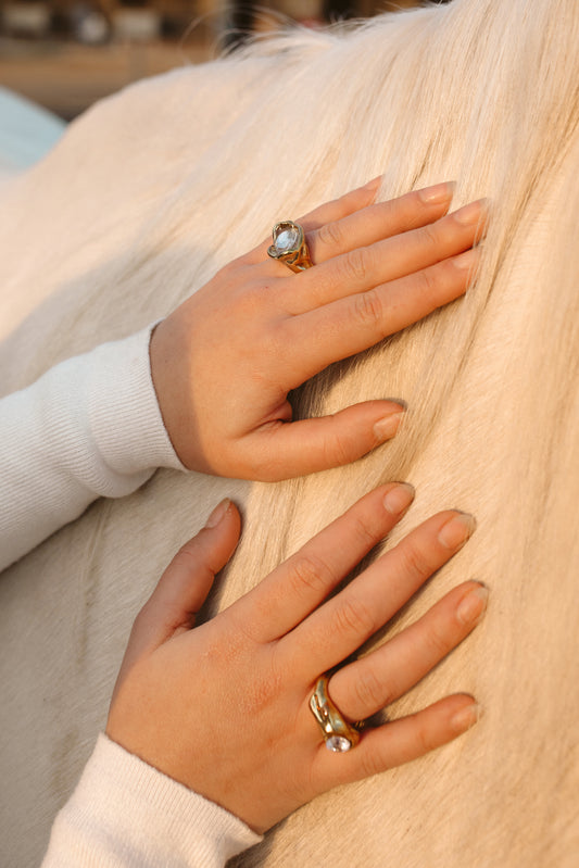 Anillo Brigitte 2.0